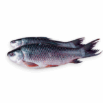 Rui Fish- রুই মাছ