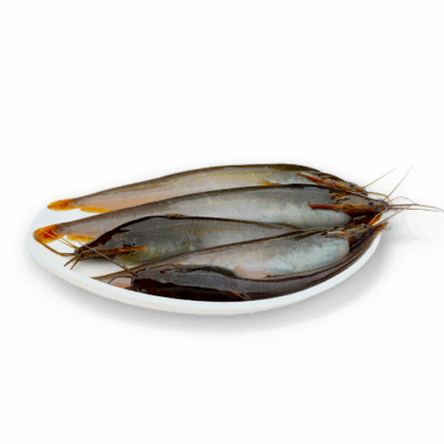 Deshi Shing Fish- দেশি শিং মাছ