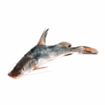 Ayer Fish- নদীর আইড় মাছ- 1kg