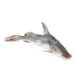 Ayer Fish- নদীর আইড় মাছ- 1kg