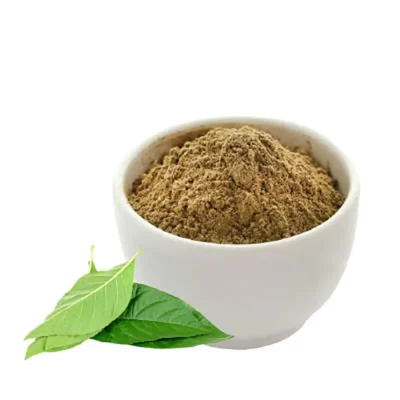 Bashok Powder- বাসক পাতা গুঁড়া