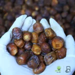 Boroi Dates(Lulu)বরই খেজুর