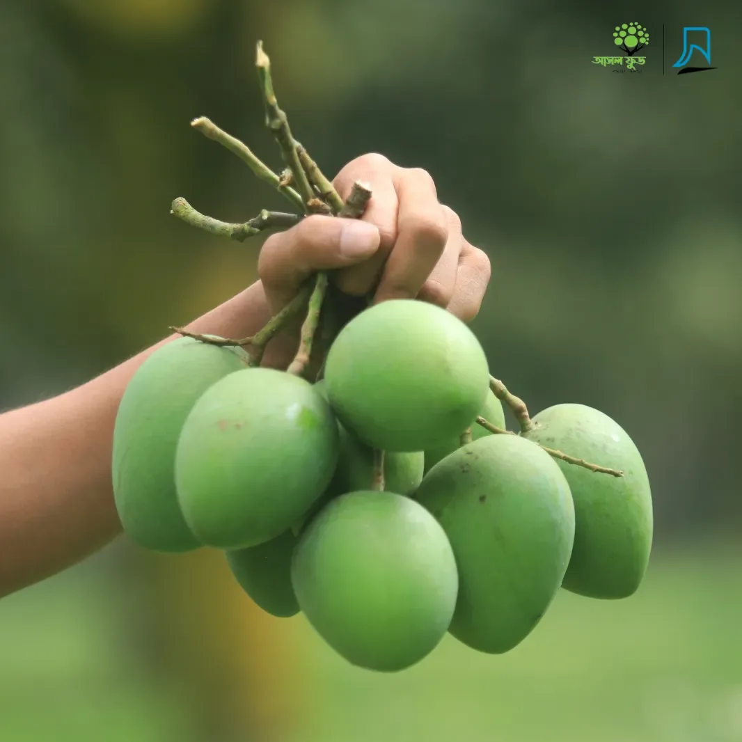 হাড়িভাঙ্গা আম - Harivanga Mango image-1